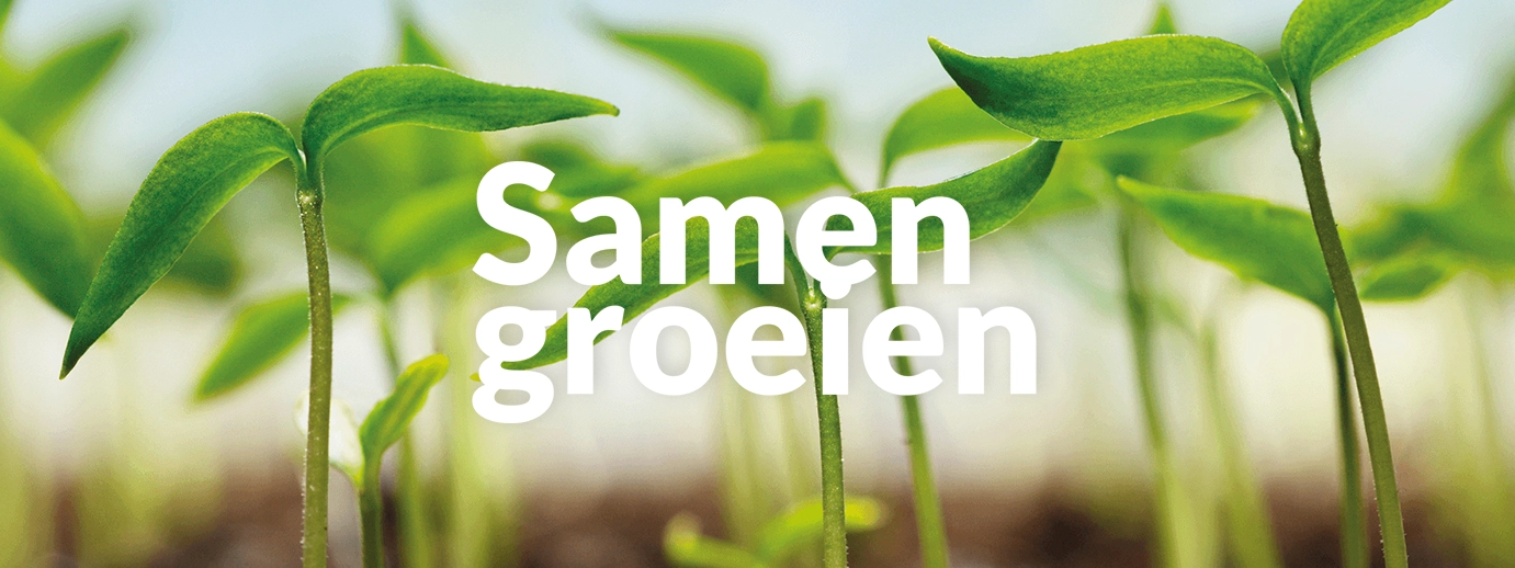 De kracht van regelmatig trainen